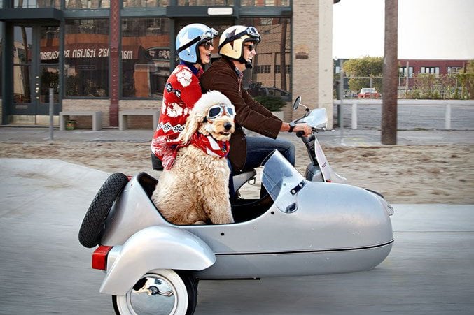 couple riding moped with dog in buggy